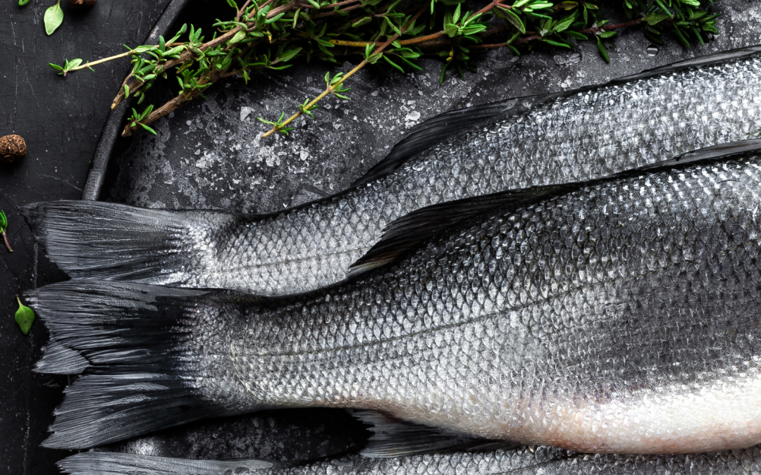 Le domande più frequenti sul pesce di allevamento
