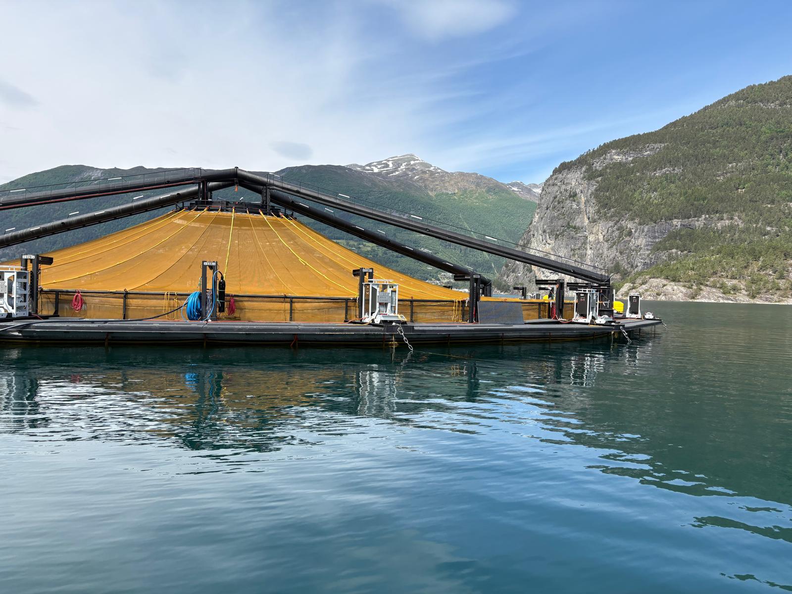 incontro op del pesce-Hofseth
